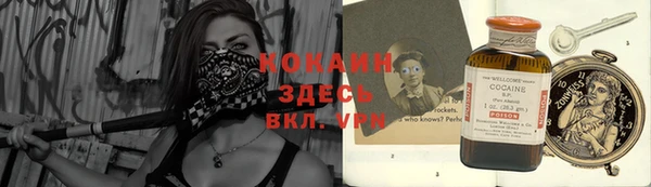 прущие грибы Костерёво