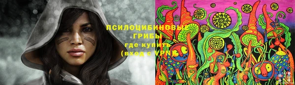 метадон Щучье