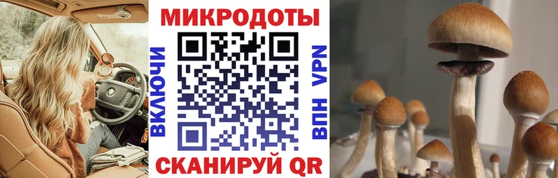 Псилоцибиновые грибы мухоморы  маркетплейс формула  Находка 