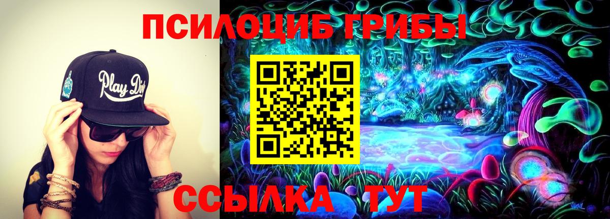 Галлюциногенные грибы Psilocybine cubensis  Вход с VPN  Находка 