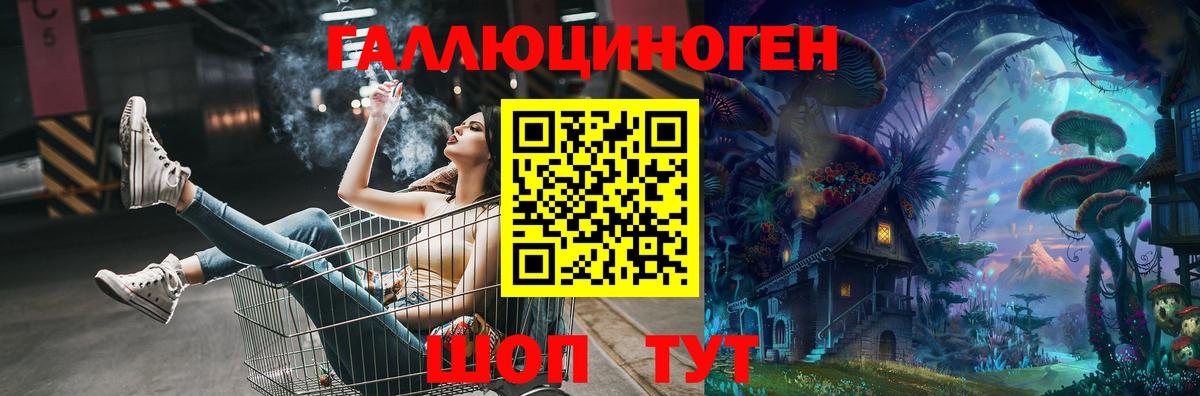 Галлюциногенные грибы Psilocybine cubensis Находка