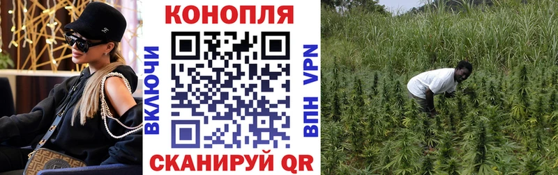 Конопля Amnesia  Находка 